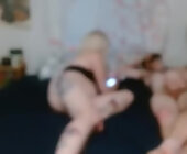 Freakswithintent live show