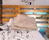 Melanieecox live show