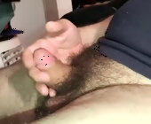 Pandodude live show