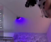 Dane_18 live show