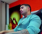 King_falconer live show