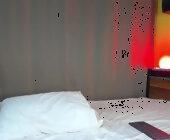 Elytraa live show