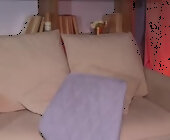 Lilybelll live show