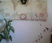 Hairypussylover089 live show