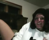 Cheekybee live show