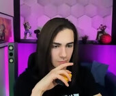 Larry_project live show