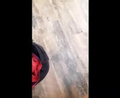 Rbocoop live show