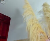 Xmistresslanaxx live show