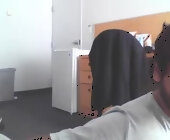 Sundoog live show