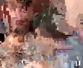 Jadend23 live show
